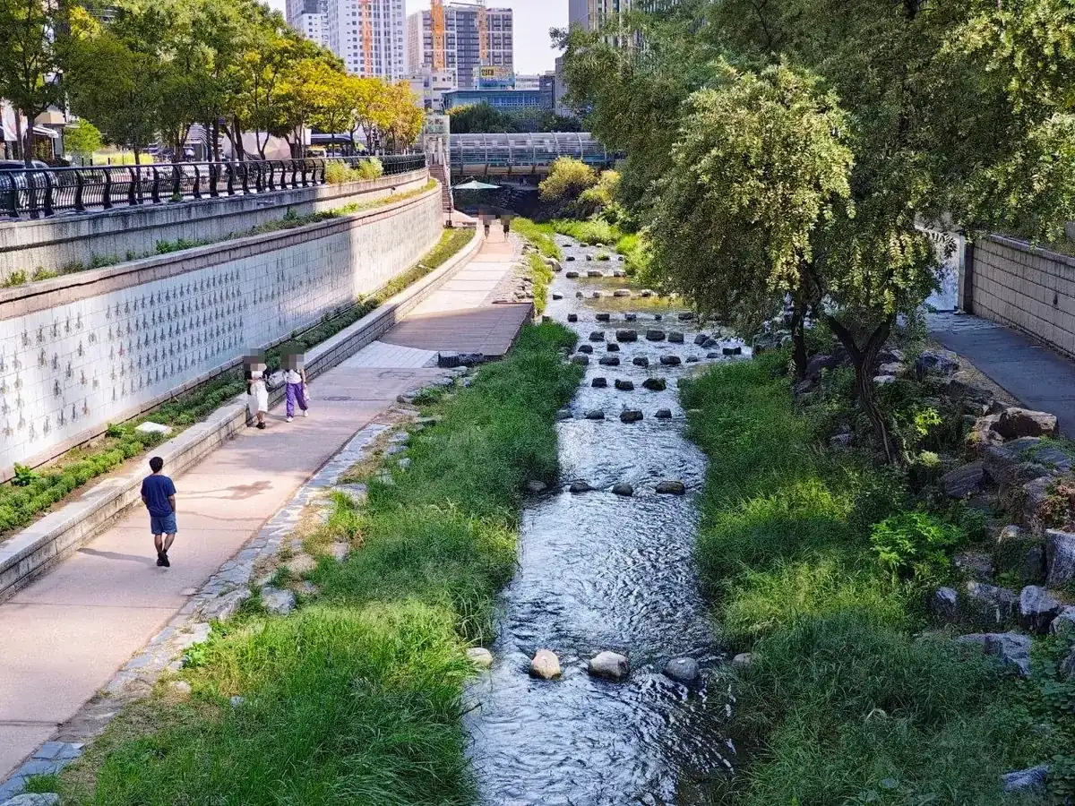 Cheonggyecheon stream in central Seoul seen from a bridge: clear water running over rows of stepping stones between grassy banks, a paved walkway on the left below a tiled wall, and people strolling (faces blurred)