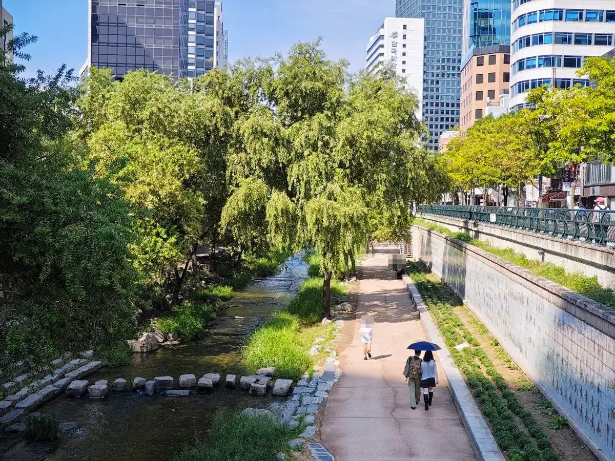 A shaded walkway along Cheonggyecheon lined with willow trees, stepping stones in the water on the left and office towers rising above street level, with a couple under an umbrella and a few people walking (faces blurred)