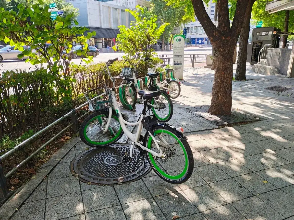 Three white Seoul public bikes with green wheels and front baskets docked at a rental station on a tree-shaded sidewalk near Jonggak Station, with the station's information post behind them